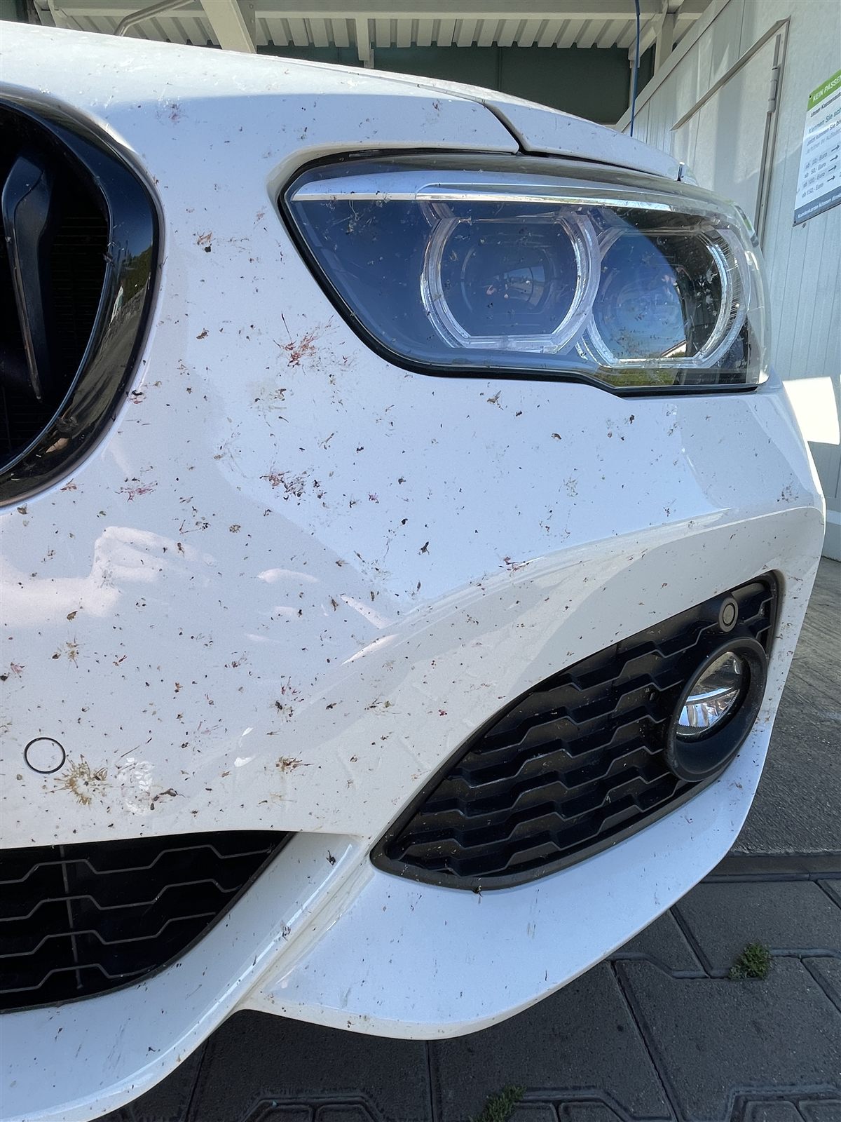 Frontstoßfänger vorher, stark mit Insektenresten verschmutzt
